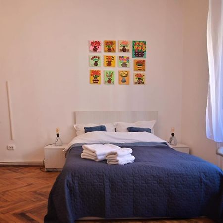 Travel And Music Apartment 티미쇼아라 외부 사진