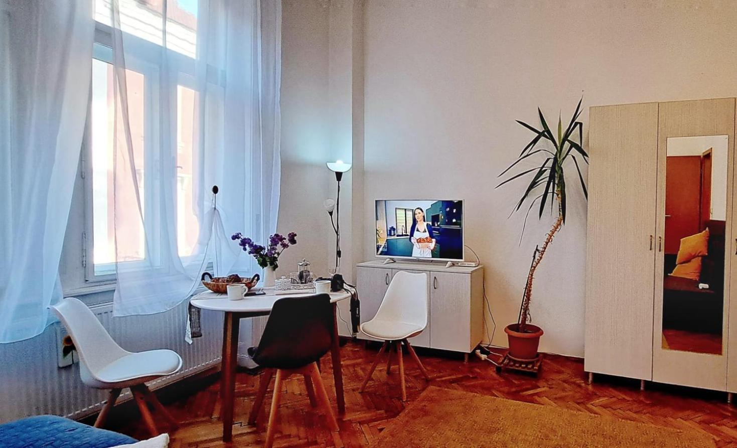 Travel And Music Apartment 티미쇼아라 외부 사진